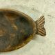 Wooden dish fish
