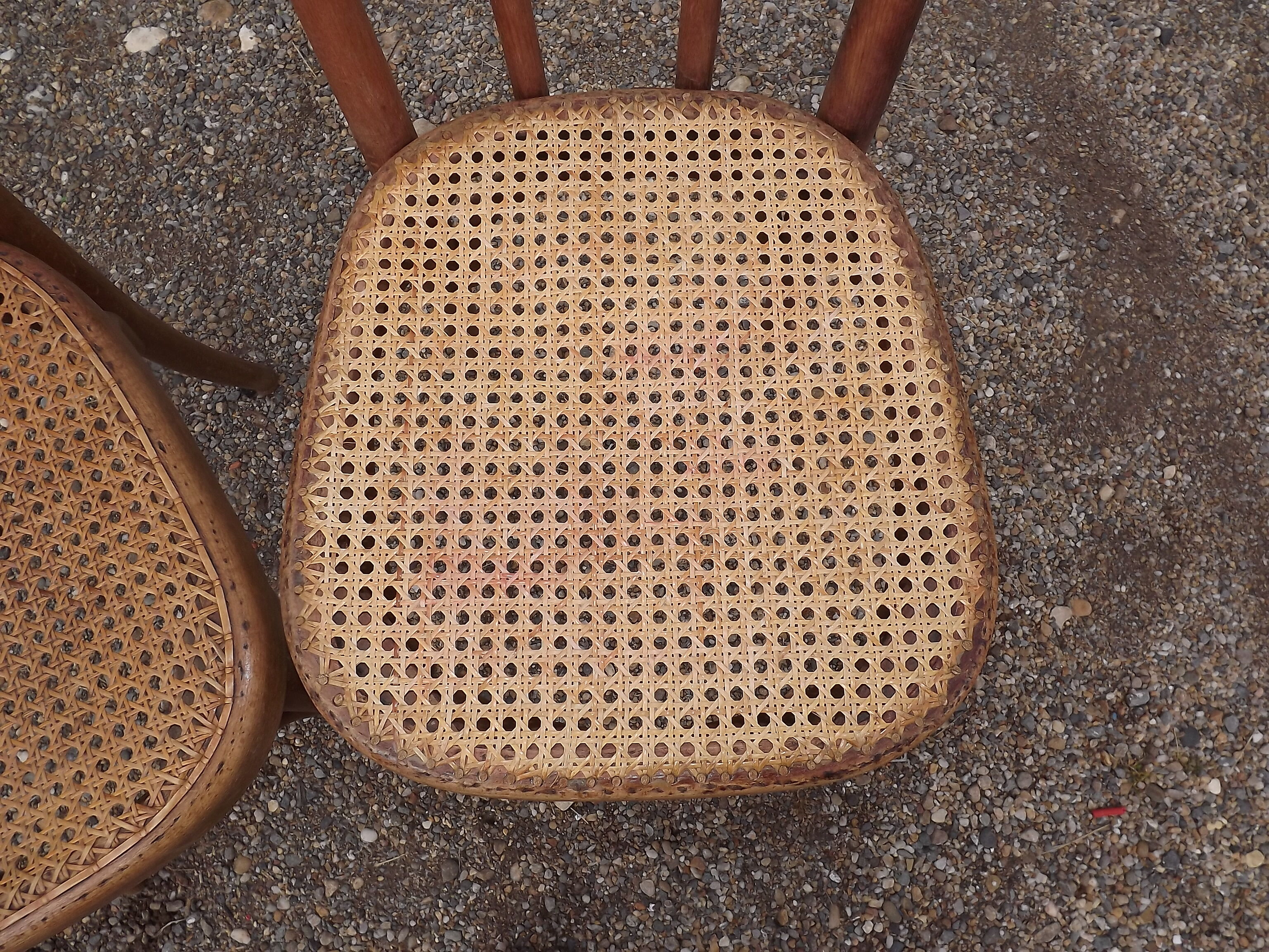Pair of  Thonet chairs