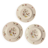 Sarreguemine porcelain plates
