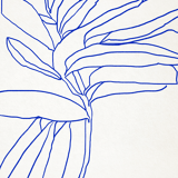 Botanical illustration print, A3