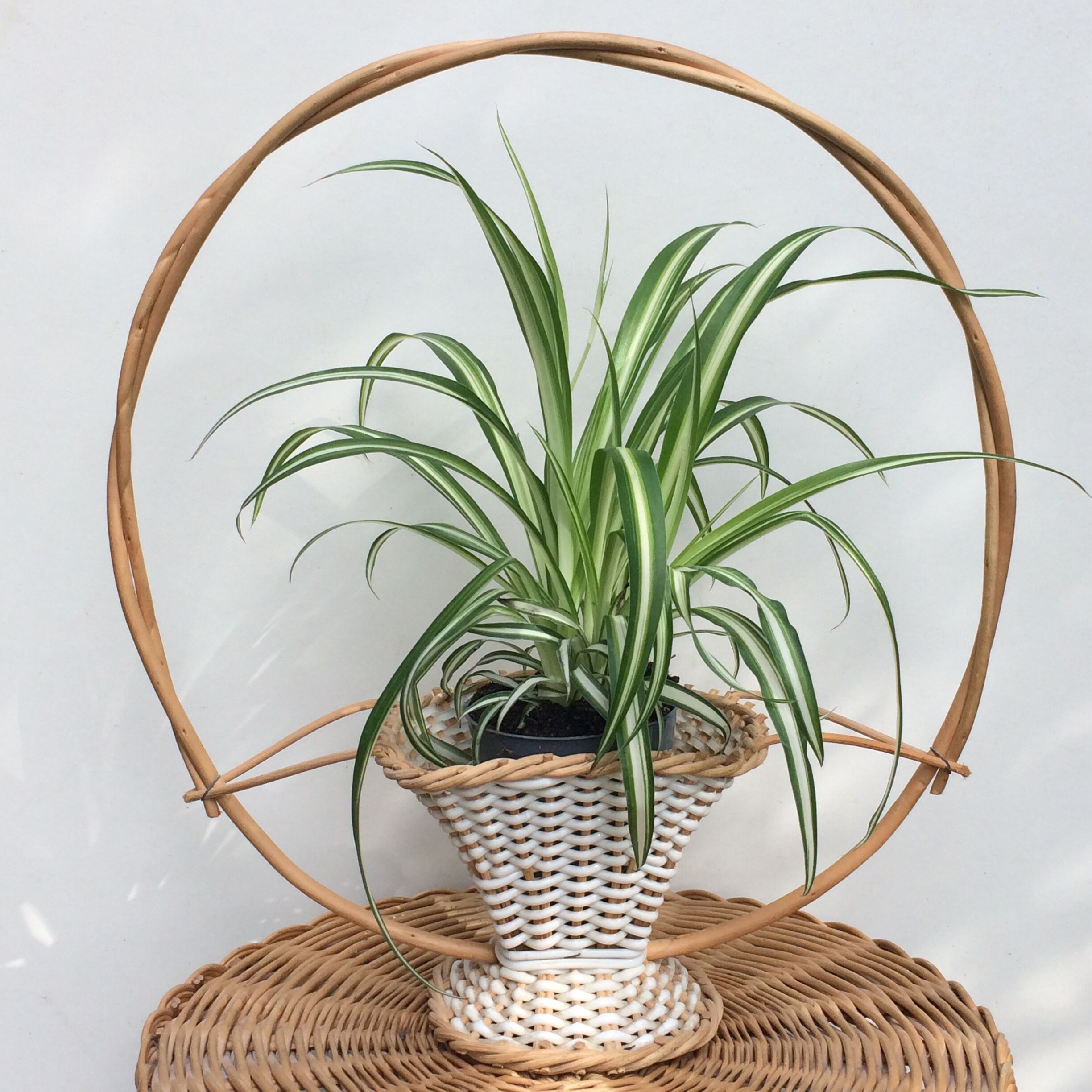 Vintage rattan basket