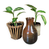 Terracotta vase
