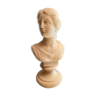 Bust on alabaster pedestal representing Niobe