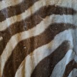 Zebra skin