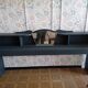 Cosy atypical furniture