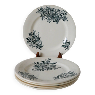 Lot de 5 assiettes plates en terre de fer salins xixème