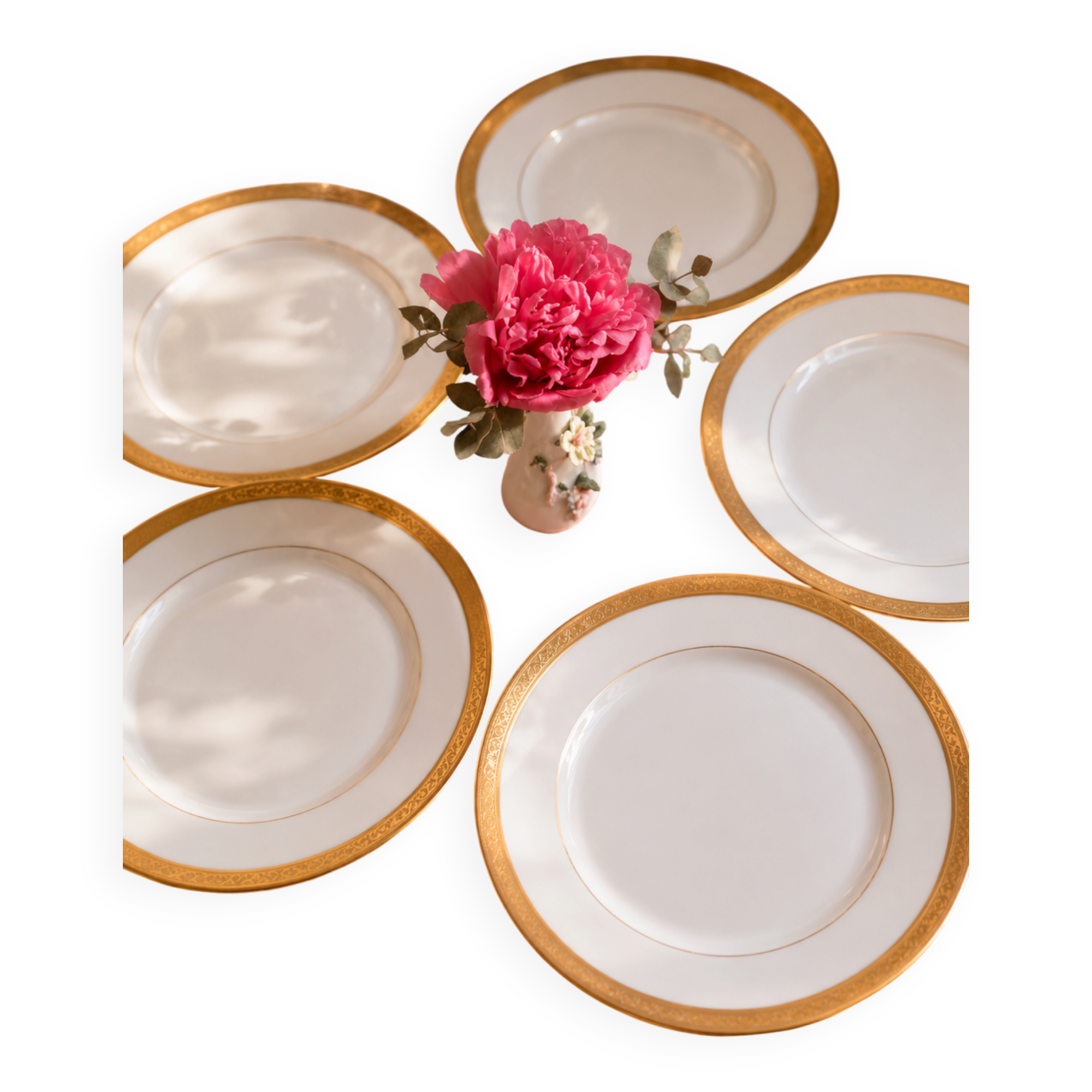 Lot de 5 assiettes Limoges rue de paradis