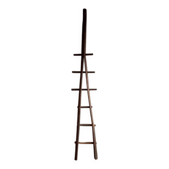 Ladder