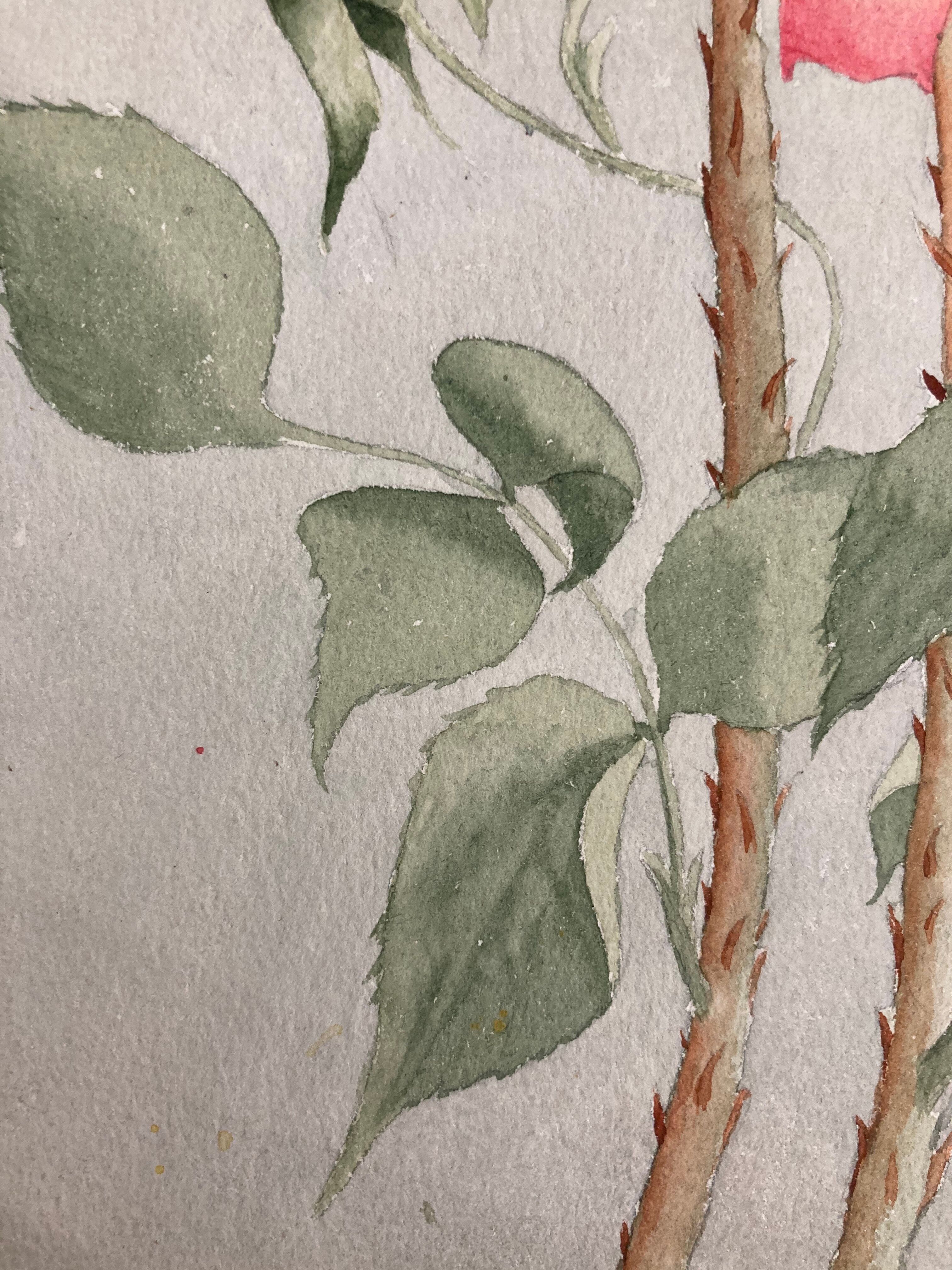 Watercolor with vintage roses