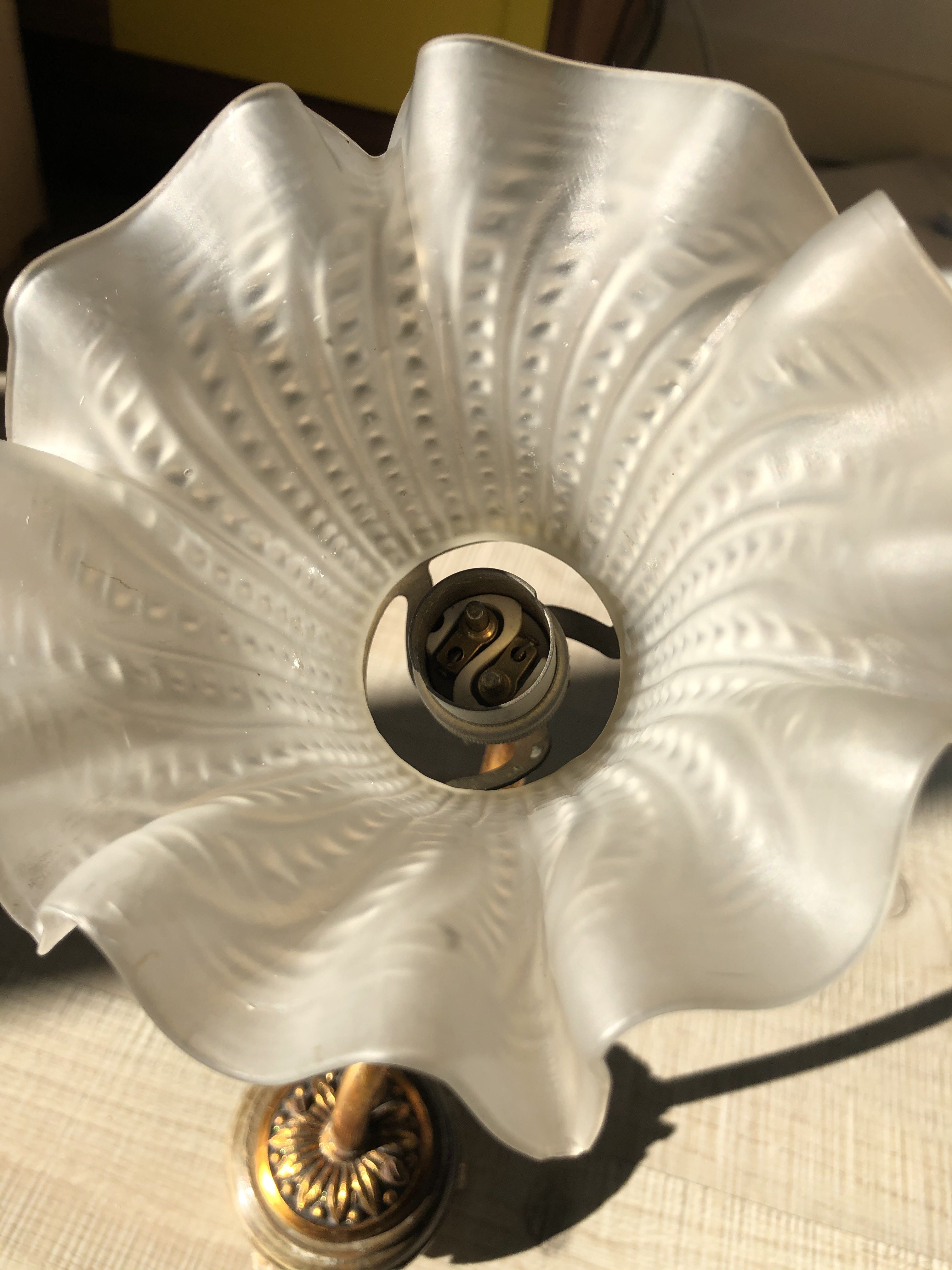 Wall light old swan collar wall in brass and frosted glass, good floral shape.