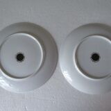 Assiettes à dessert porcelaine fine  de Bavière -botaniqu