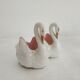 Mustard and salty swans, circa 1900