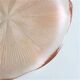 Plat rose en verre 80