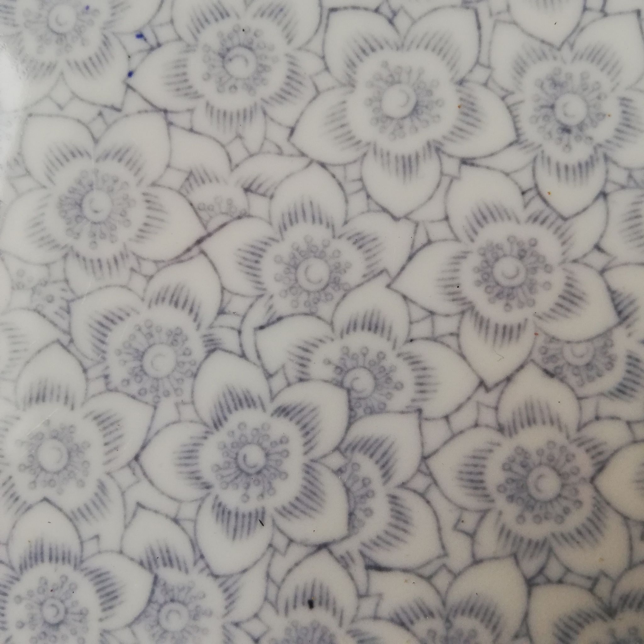 Royal Worcester plate