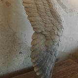 Old seagull to hang