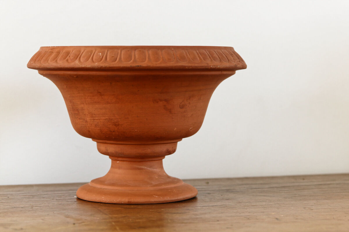 Medicis Cup in terracotta