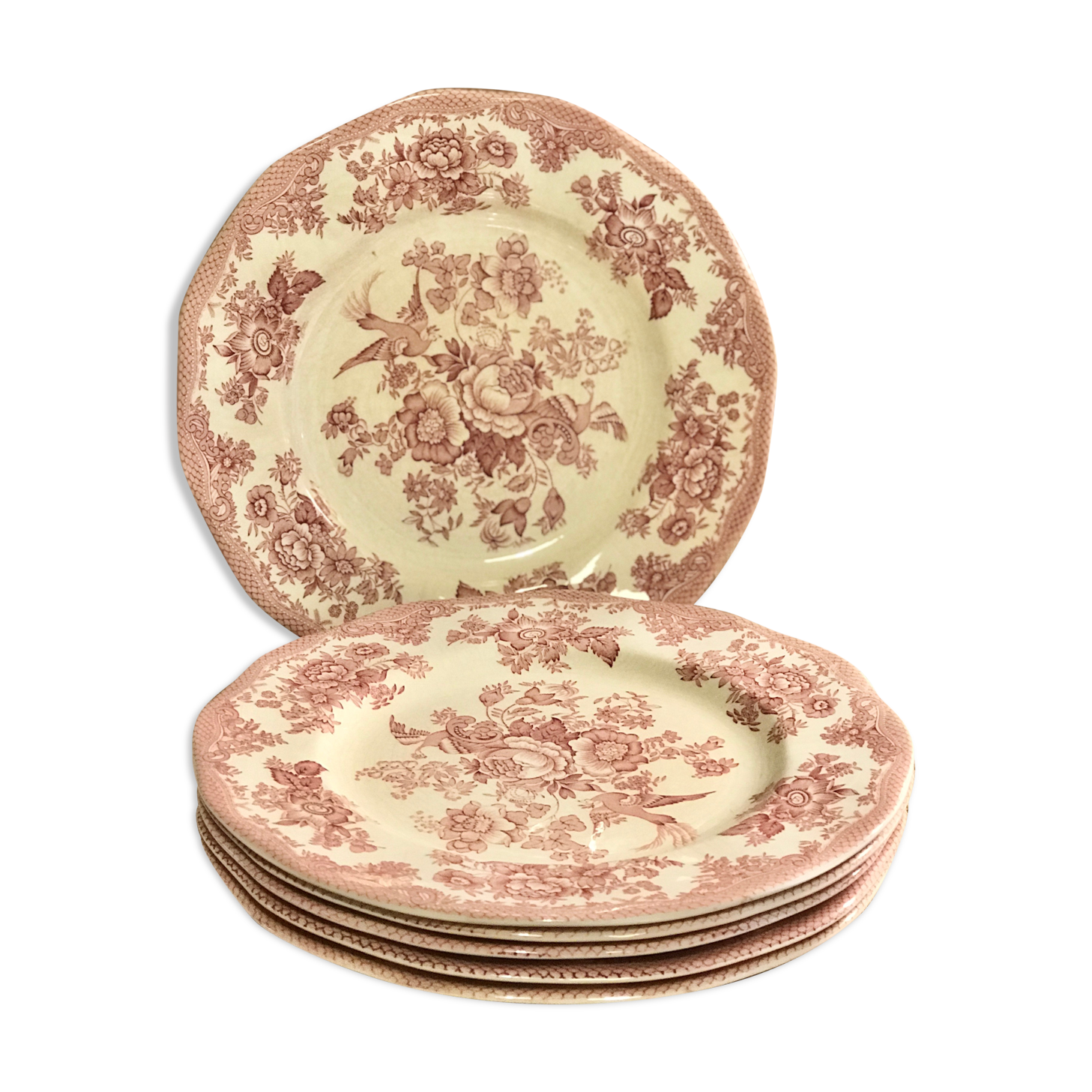 Lot of 6 flat plates wedgwood model pheasant pink Asian pheasant