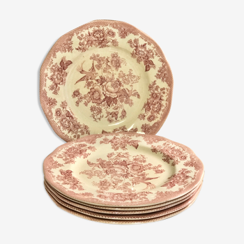 Lot de 6 assiettes plates faïence Wedgwood modèle faisan asiatique rose