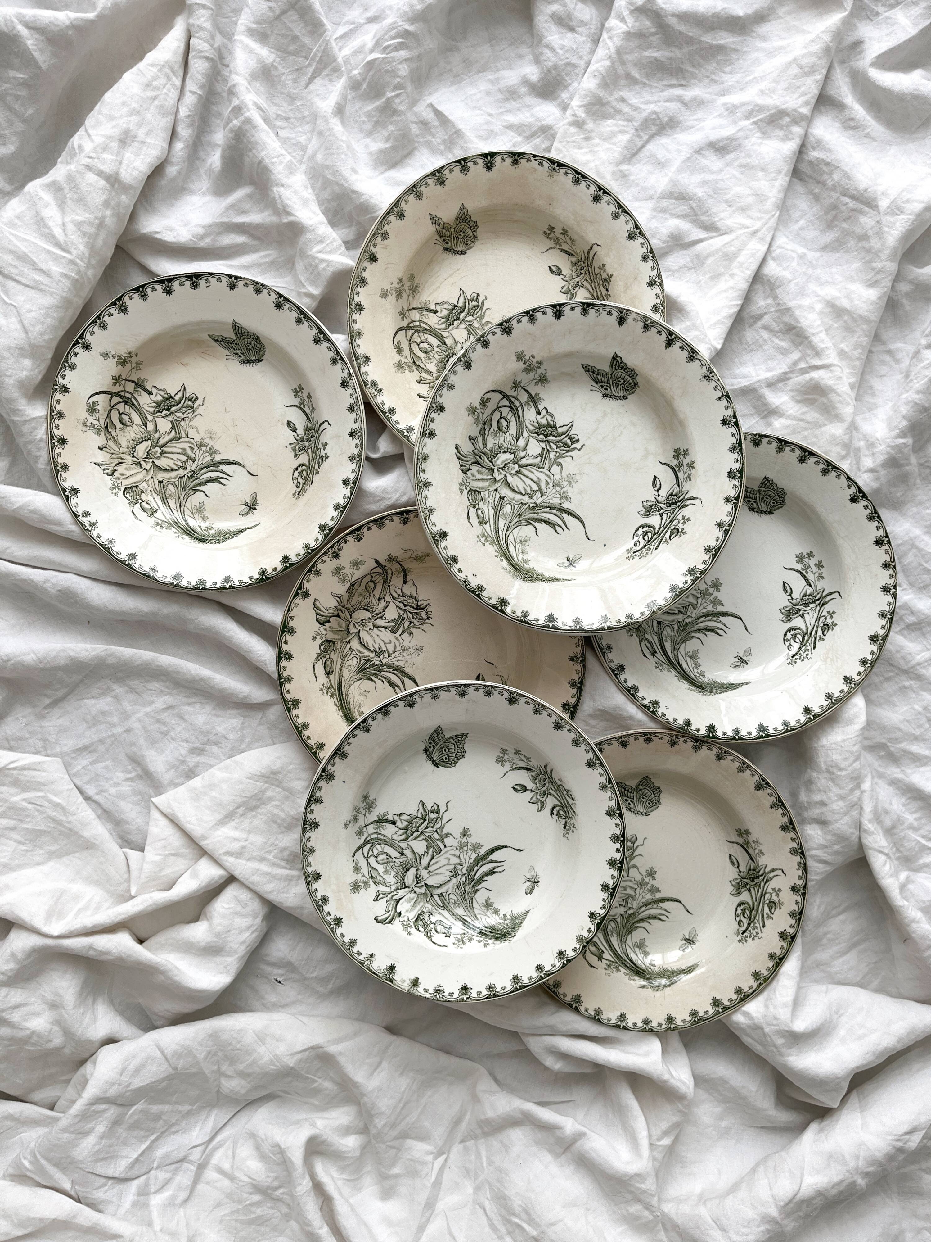 7 earthenware soup plates with butterfly and flower design "Nancy" LG Clairefontaine