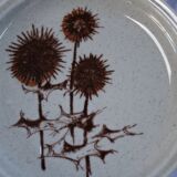 Set of 5 plates in Sarreguemines sandstone pattern Chardons