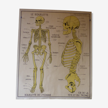 Rossignol science table