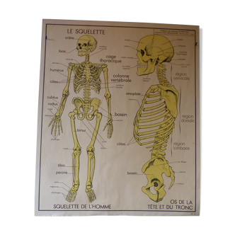 Rossignol science table