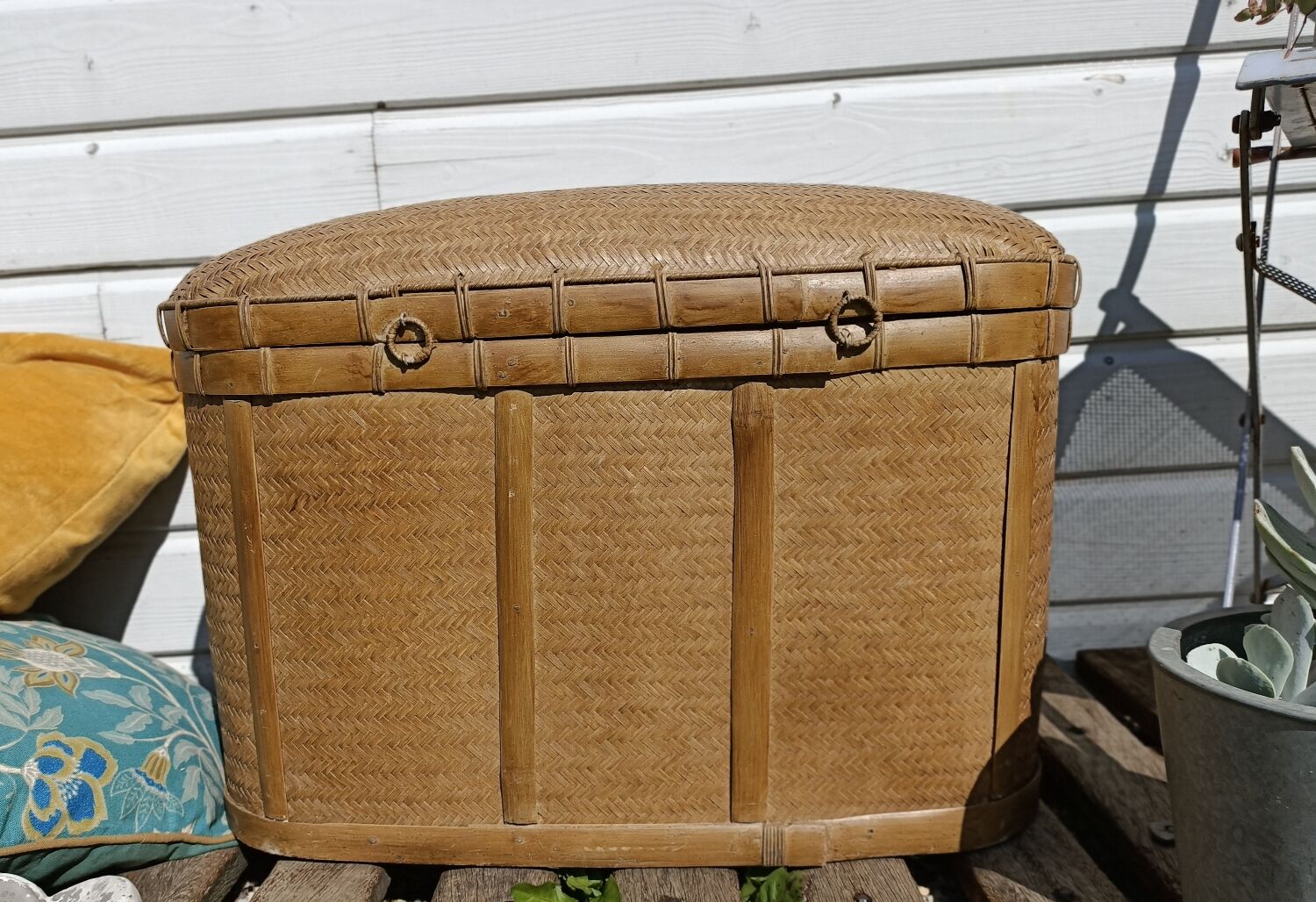 Old trunk rice straw