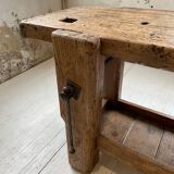 Established old oak XL