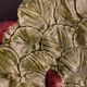 Dish strawberries ceramic slurry