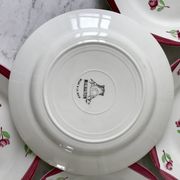 Set of 5 flat plates digoin sarreguemines model aigues-vives hand painted years 30-40