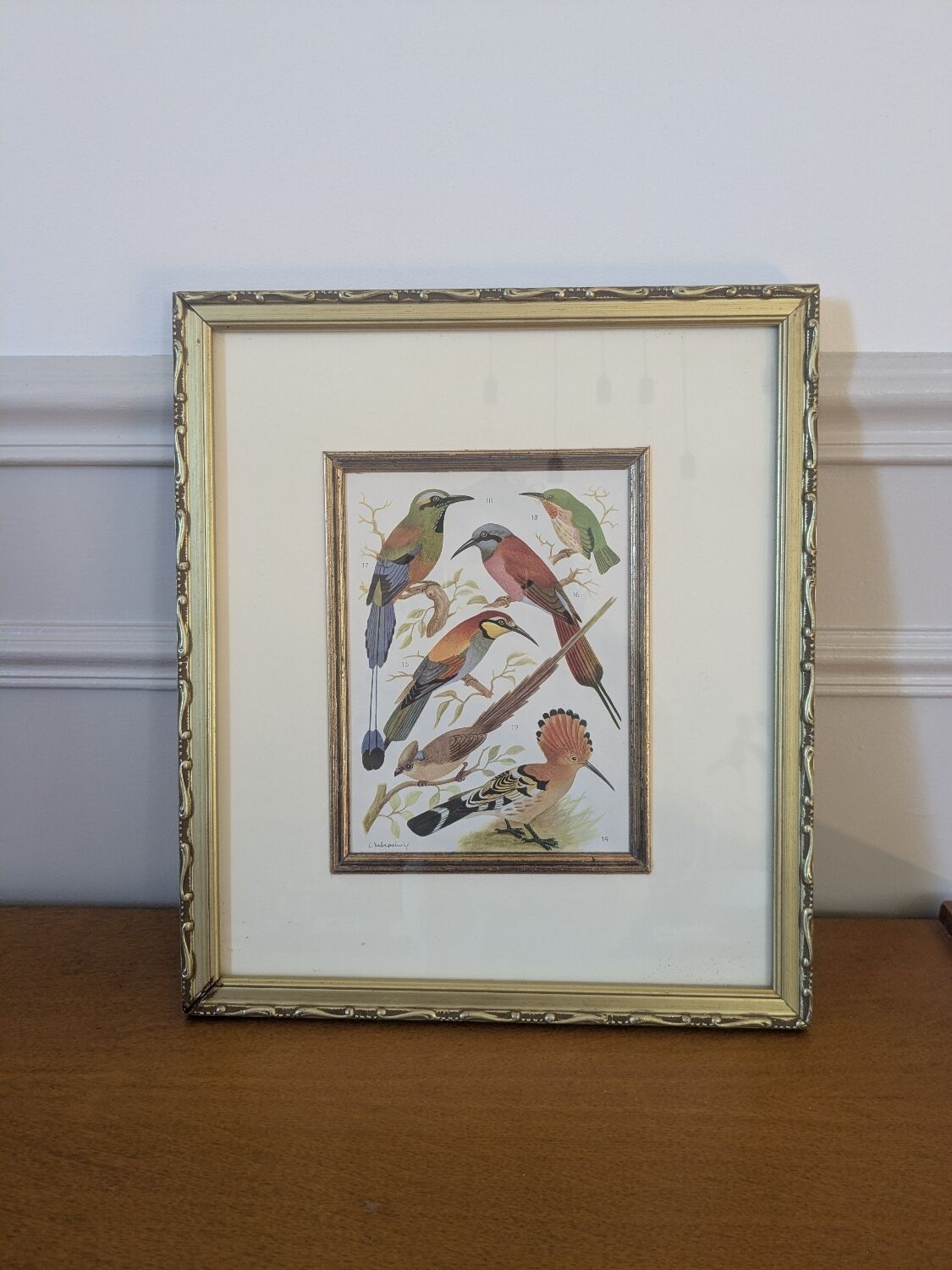 Lithographic frame of birds