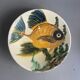 Série de 6 assiettes Puigdemont motifs poissons