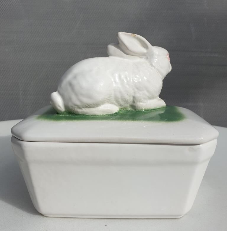 Pot terrine rabbit of Bavent in white earthenware on square of greenery