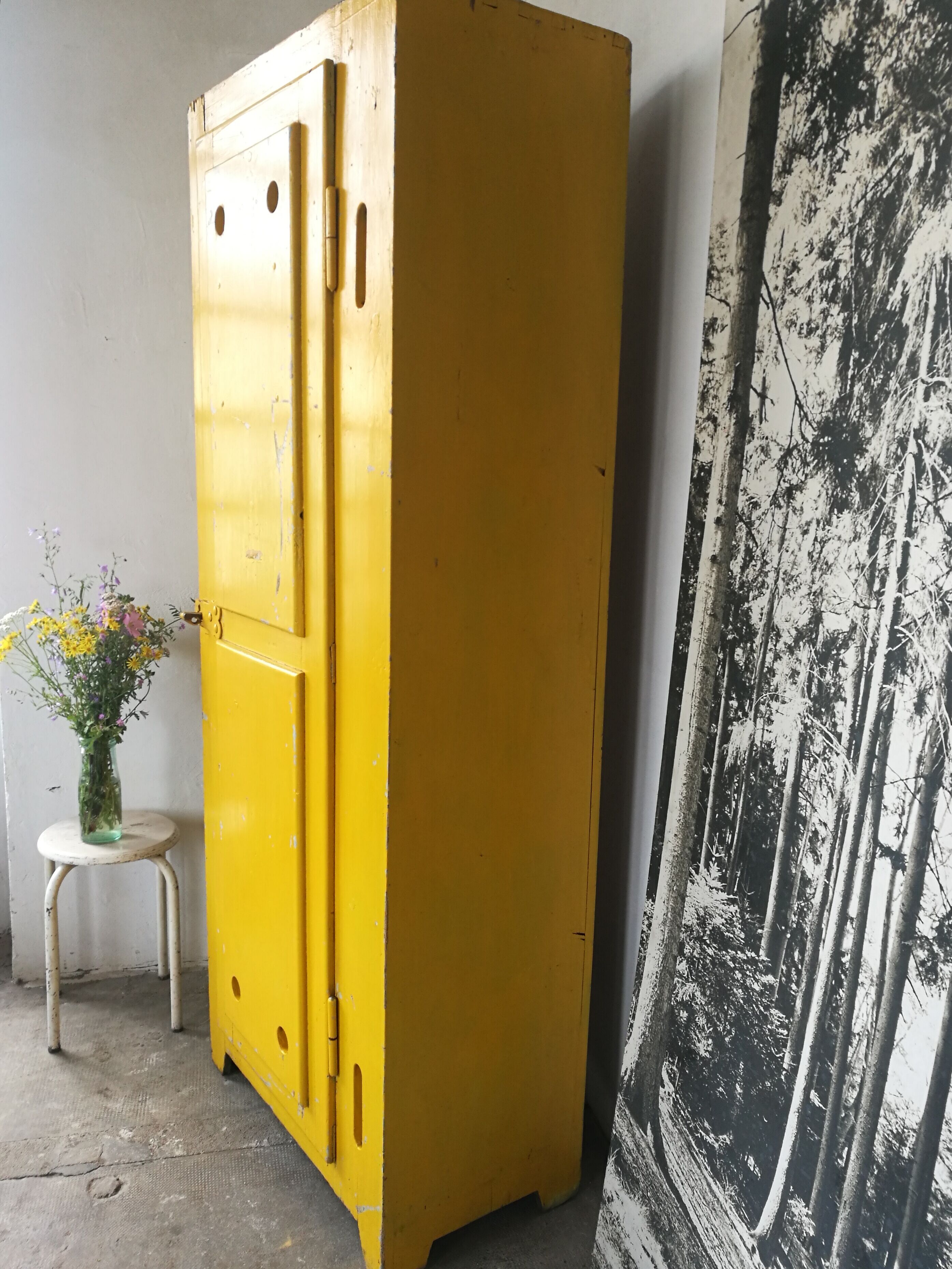 Wardrobe, fir cloakroom of the 20s