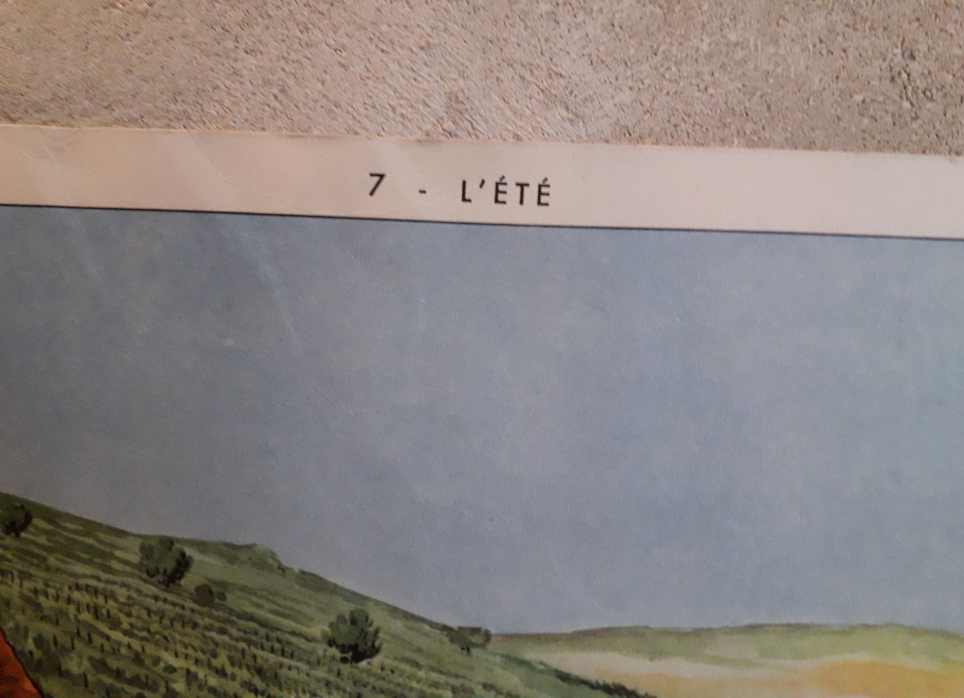 School poster The good weather - summer Raylambert