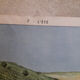 School poster The good weather - summer Raylambert