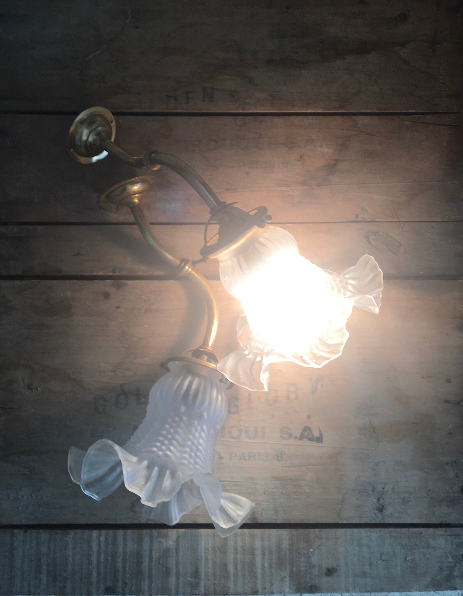 Glass wall light and brass swan collar, 1900