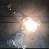 Glass wall light and brass swan collar, 1900