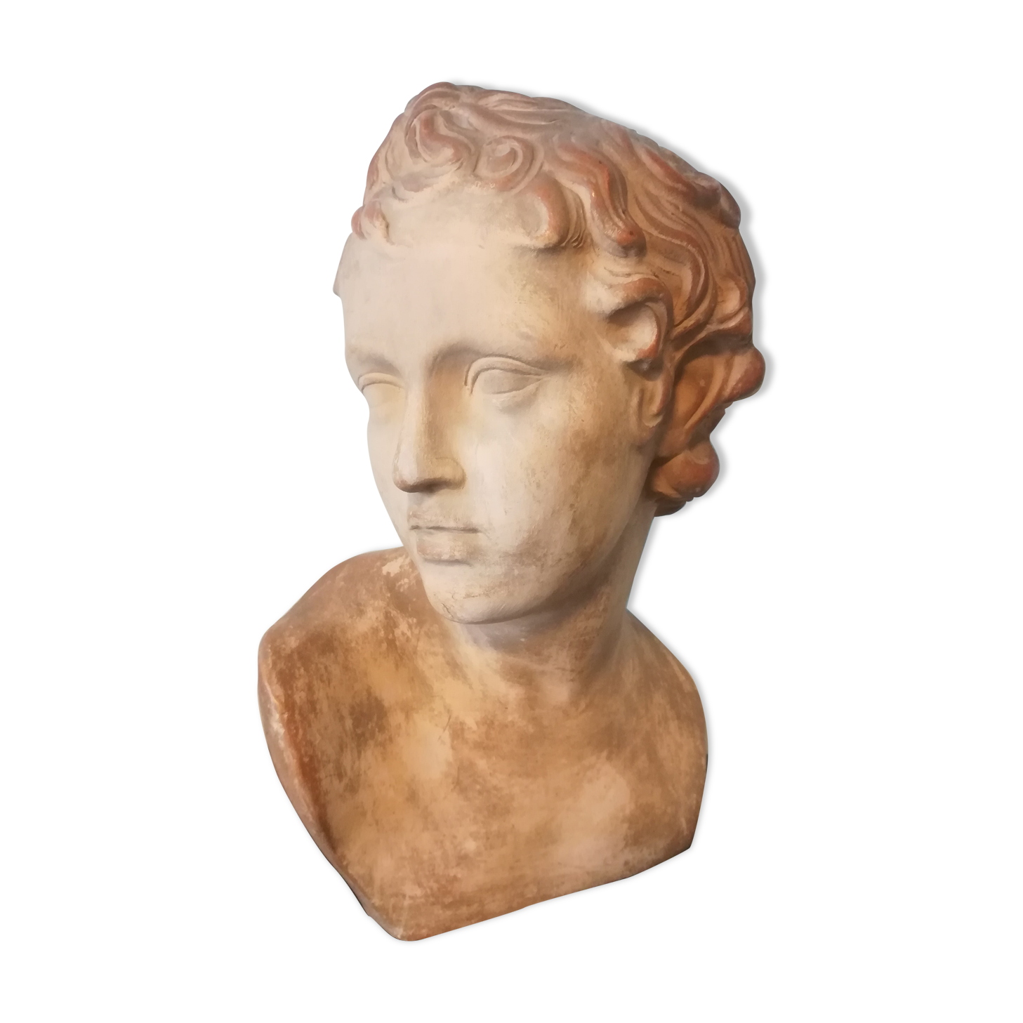 Children's bust in terracotta
