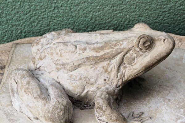 Grenouille en ciment, signée A. Picot