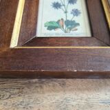 Tableau botanique