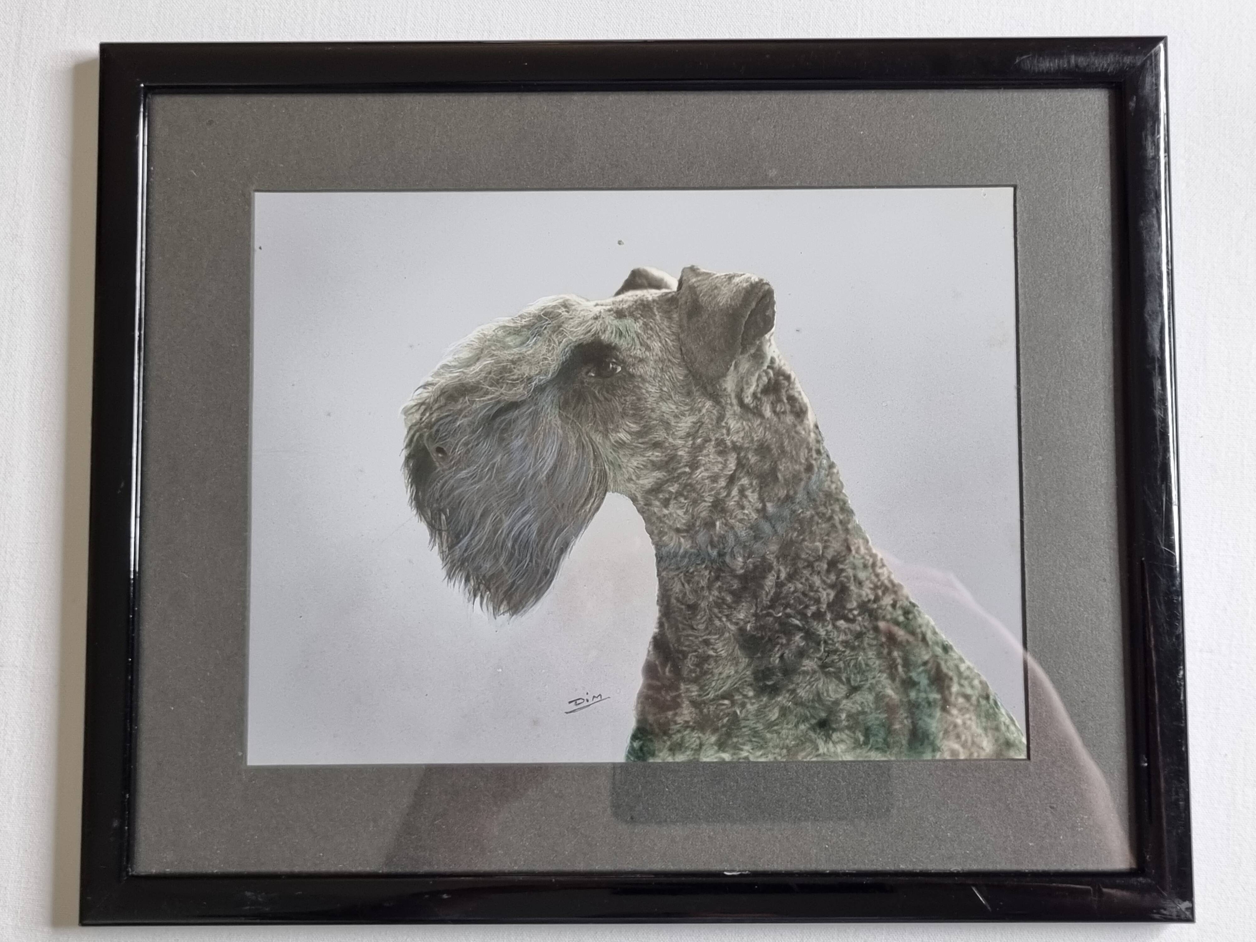 Old photograph, dog portrait signed by Henry Dimont (Dim), 32 x 25 cm