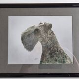 Photographie ancienne, portrait de chien signée d'Henry Dimont (Dim), 32 x 25 cm