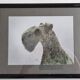 Old photograph, dog portrait signed by Henry Dimont (Dim), 32 x 25 cm