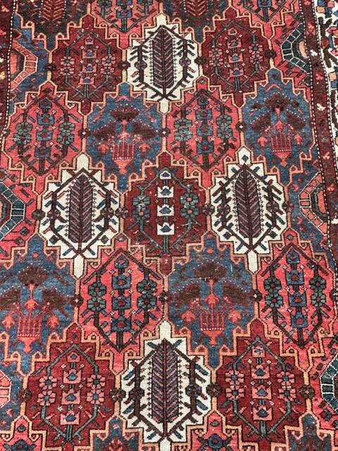 Tapis 165x290cm