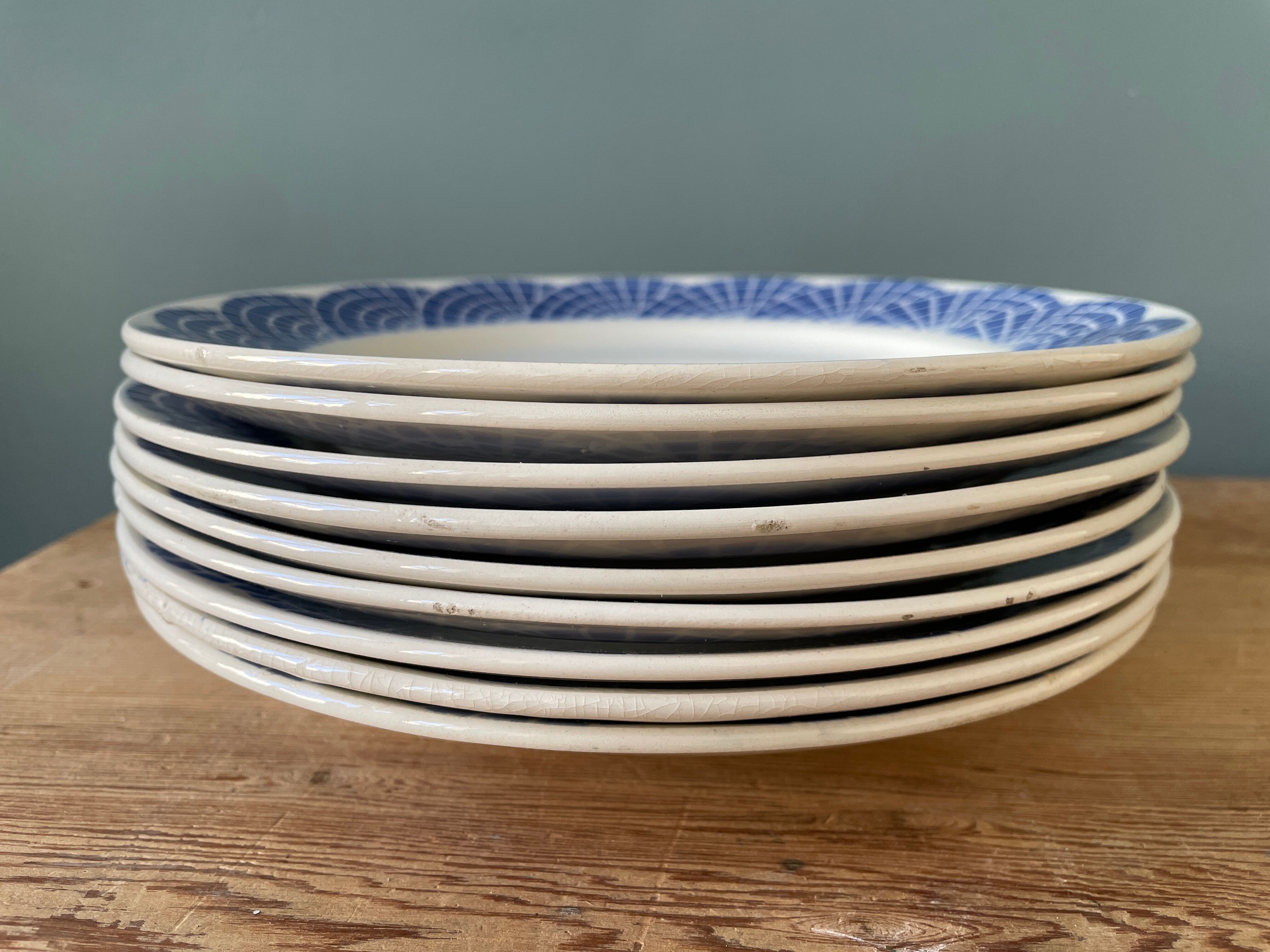 Series of 9 flat plates Saint Amand Les Eaux MDL Orcerame