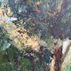 At the edge of wood oil on panel