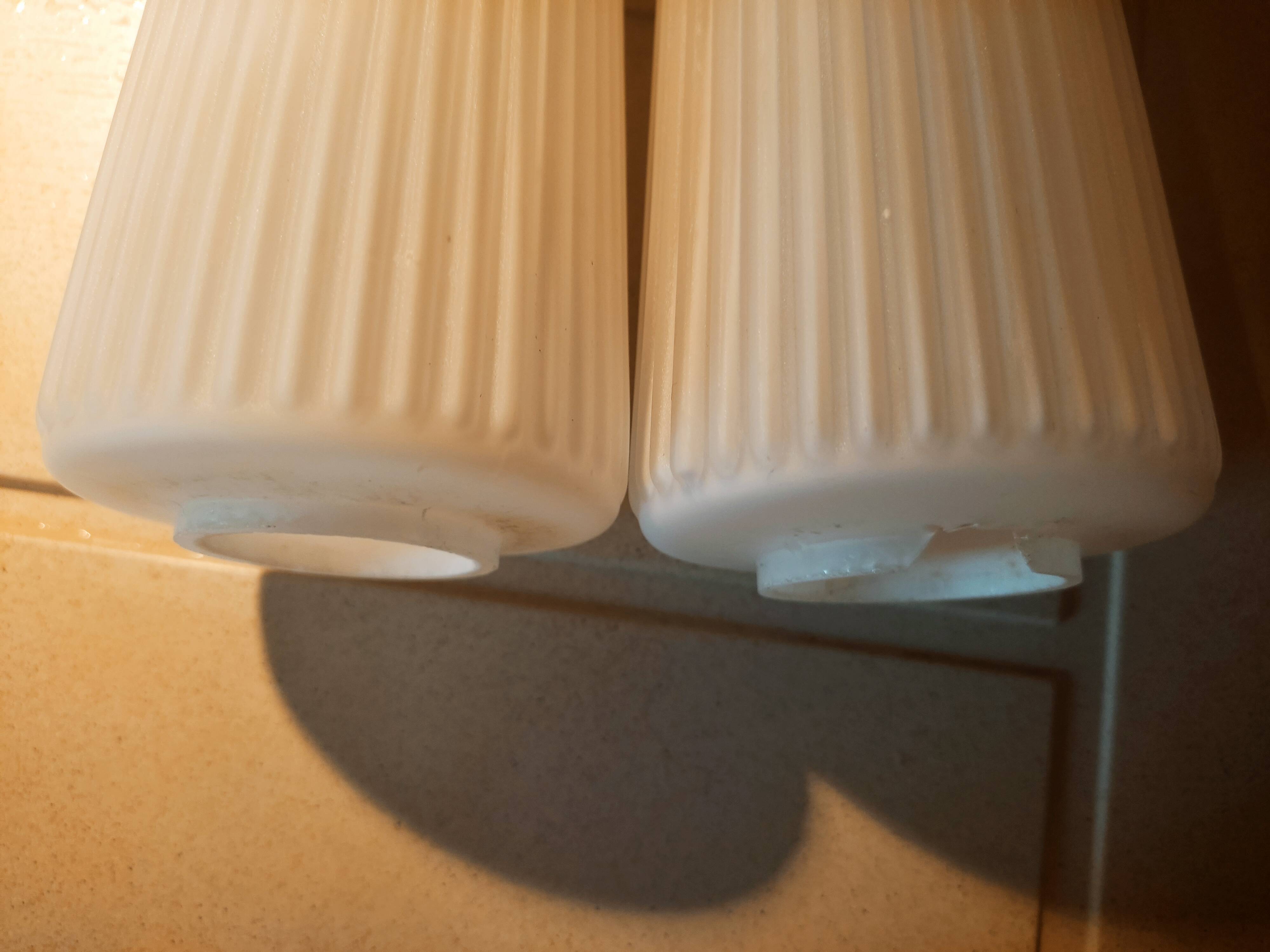 Striated opaline tulips