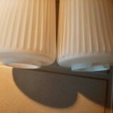 Striated opaline tulips