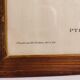 Hand-Enhanced Gould Bird Lithograph Painting / 1950's England / Ptilinopus Ewingii